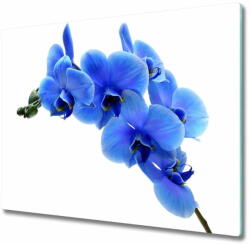  tulup. hu Üveg vágódeszka kék orchidea 2x30x52 cm - mall - 15 900 Ft