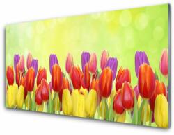 tulup. hu Konyhai falvédő panel Tulipán virágok plant 100x50 cm