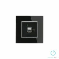 Smarthugo Egyes Fekete Üvegkeretes Dupla USB Csatlakozó (sh100412)