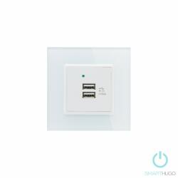 Smarthugo Egyes Fehér Üvegkeretes Dupla USB Csatlakozó (sh100411)