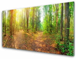 tulup. hu Konyhai hátfal panel Sun-erdő természetvédelmi path 100x50 cm