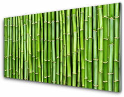  tulup. hu Akril üveg kép Bamboo Virág Plant 140x70 cm 2 fogas