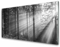  tulup. hu Akril üveg kép Nature Forest Sun Rays 140x70 cm 4 fogas