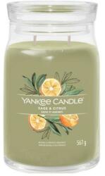 Yankee Candle Lumânare aromată, borcan Sage & Citrus, 2 fitile - Yankee Candle Singnature 368 g