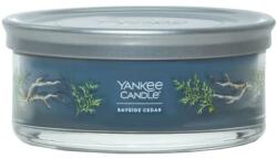 Yankee Candle Lumânare aromată Cedar, 5 fitile - Yankee Candle Bayside Cedar Tumbler 340 g