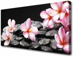 tulup. hu Vászonkép Plumeria virág a fal 120x60 cm