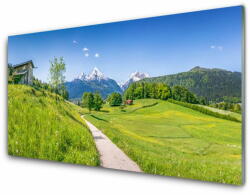 tulup. hu Konyhai falburkoló panel Mountain meadow path-völgy 125x50 cm