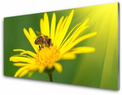 tulup. hu Akrilüveg fotó Bee Virág Természet 100x50 cm 2 fogas