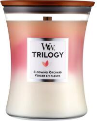 WoodWick Scented Candle - WoodWick Blooming Orchard Candle 275 g