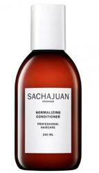 SACHAJUAN Balsam normalizant pentru păr - Sachajuan Normalizing Conditioner 1000 ml