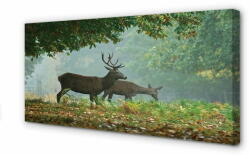 tulup. hu Canvas képek Deer őszi erdő 120x60 cm