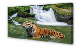 tulup. hu Canvas képek tigris vízesés 100x50 cm