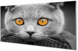 tulup. hu Akrilkép Gray brit macska 100x50 cm 4 fogas