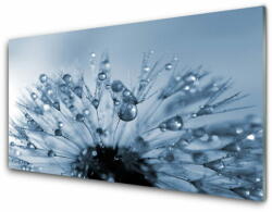  tulup. hu Akril üveg kép Gyermekláncfű virág Csepp 140x70 cm 2 fogas