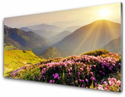 tulup. hu Akril üveg kép Mountain Meadow Landscape 140x70 cm 4 fogas