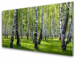  tulup. hu Akrilüveg fotó Erdei fák Természet 120x60 cm 4 fogas