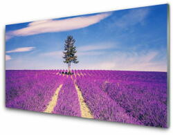 tulup. hu Akrilkép Lavender Field Mező Fa 140x70 cm 4 fogas