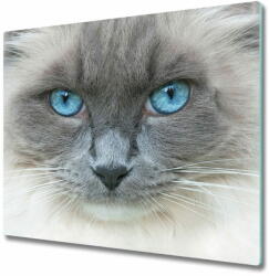 tulup. hu Üveg vágódeszka Cat kék szem 2x30x52 cm - mall - 15 900 Ft