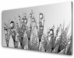 tulup. hu Akril üveg kép Absztrakció Nature Plant 125x50 cm 4 fogas