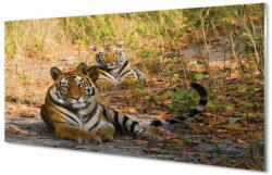tulup. hu Konyhai üveg panel Tigers 100x50 cm