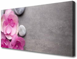 tulup. hu Vászonkép nyomtatás Rózsaszín virágok Aromaterápiás 100x50 cm