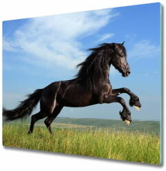 tulup. hu Üveg vágódeszka Fekete ló a réten 2x30x52 cm - mall - 15 900 Ft