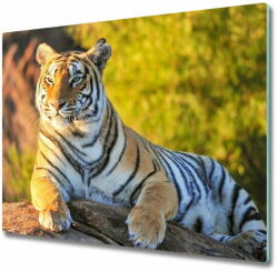  tulup. hu Üveg vágódeszka Portré egy tigris 2x30x52 cm - mall - 15 900 Ft