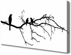 tulup. hu Canvas kép Bird Branch Nature Art 120x60 cm