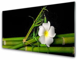  tulup. hu Akril üveg kép Bamboo Virág Plant 125x50 cm 4 fogas