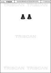 TRISCAN Csavarkészlet, féktárcsa TRISCAN 8105 116003