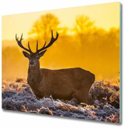  tulup. hu Üveg vágódeszka Deer napkelte 2x30x52 cm
