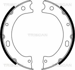 TRISCAN Set saboti frana TRISCAN 8100 14011 - automobilus