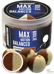 Haldorádó Max Motion Boilie Balanced 20 mm Kókusz & Tigrismogyoró - Haldorádó Wafter Csali (HD27413)