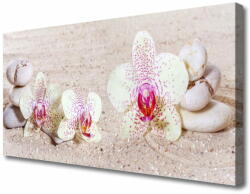 tulup. hu Vászonkép Orchidea Orchidea Sand 100x50 cm