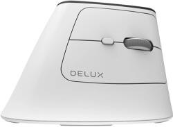 Delux Ergonomic MV6 DB White (27125) Mouse