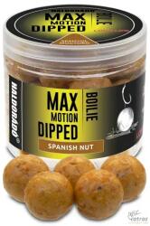 Haldorádó Max Motion Boilie Dipped 20 mm Spanyol Mogyoró - Dippelt Haldorádó Bojli
