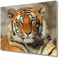 tulup. hu Üveg vágódeszka bengáli tigris 60x52 cm - mall - 13 900 Ft