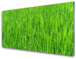  tulup. hu Konyhai panel Nature green grass turf 140x70 cm