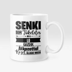 Senki sem tökéletes, de az ló gazdik átkozottul közel állnak hozzá bögre (senkisem_lo_bogre)