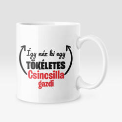 Így néz ki egy tökéletes csincsilla gazdi bögre (igy_nez_ki_csincsilla_bogre)