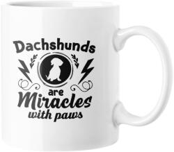 Dachshunds are miracles with paws bögre (dachshunds_are_miracles_with_paws_bogre)