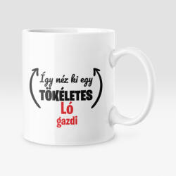  Így néz ki egy tökéletes ló gazdi bögre (igy_nez_ki_lo_bogre)