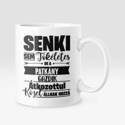 Senki sem tökéletes, de az patkány gazdik átkozottul közel állnak hozzá bögre (senkisem_patkany_bogre)