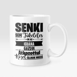  Senki sem tökéletes, de az iguána gazdik átkozottul közel állnak hozzá bögre (senkisem_iguana_bogre)