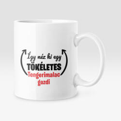 Így néz ki egy tökéletes tengerimalac gazdi bögre (igy_nez_ki_tengerimalac_bogre)
