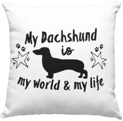  My dachshund is my world and my life párna (my_dachshund_is_my_world_and_my_life_parna)