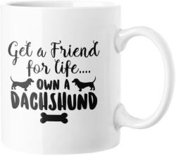 Get a friend for life own a dachshund bögre (get_a_friend_for_life_own_dachshund_bogre)