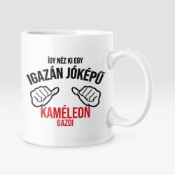 Így néz ki egy igazán jóképű kaméleon gazdi bögre (jokepu_kameleon_gazdi_bogre)