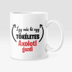 Így néz ki egy tökéletes axolotl gazdi bögre (igy_nez_ki_axolotl_bogre)