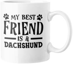  My best friend is dachshund bögre (my_best_friend_is_dachshund_bogre)